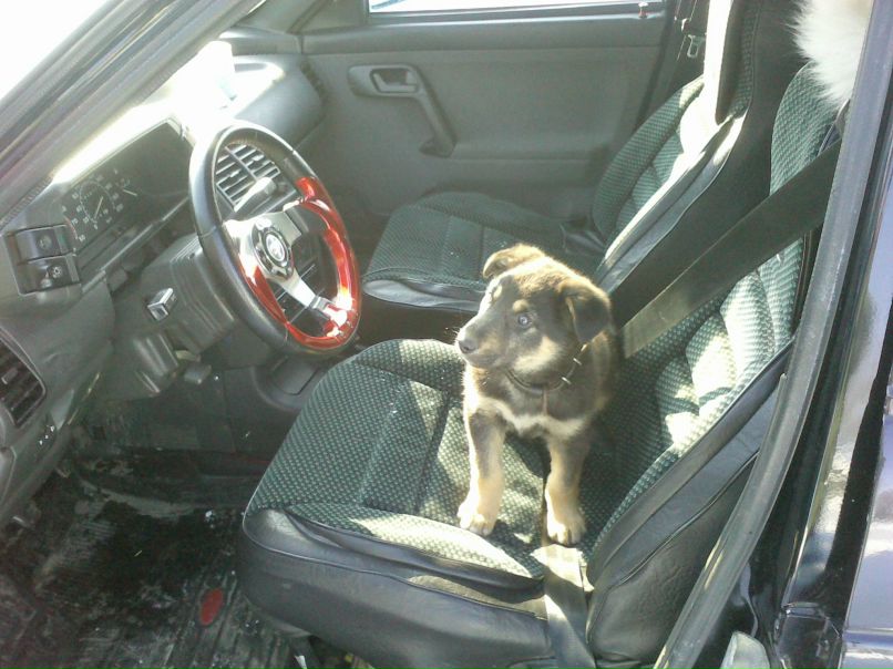 Дмитрий Сапаров | Нижний Новгород