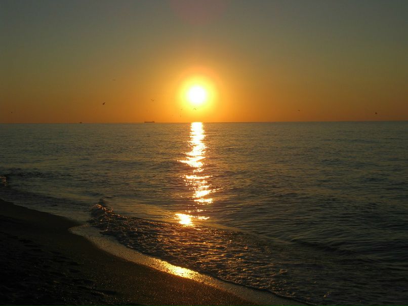 Татьяна Моисеева | Одесса