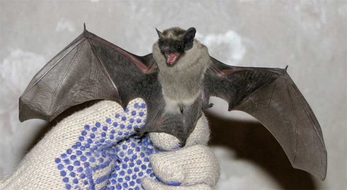 Валентин Соловьев Валерьевич vvs | Москва