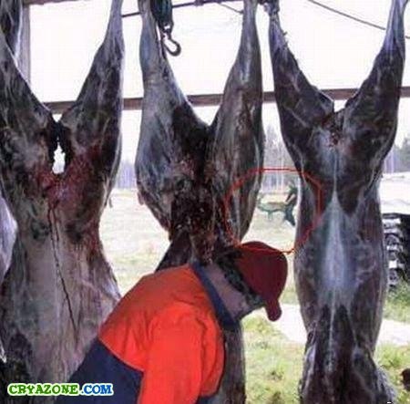 Алексей Калинин | Краснозаводск