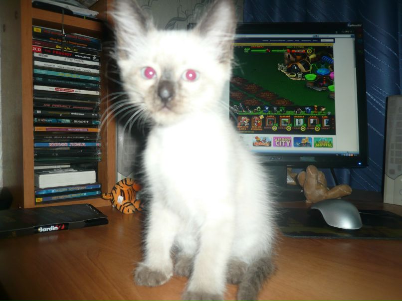 Алексей Дроздов | Санкт-Петербург