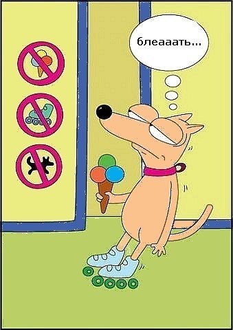 Ева Малиновская | New York City