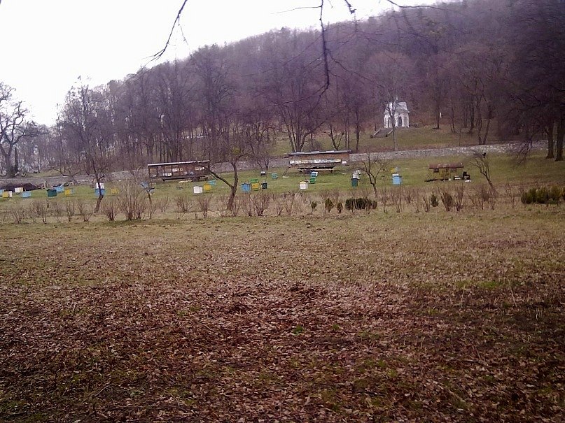 Даниил Подоляк Вадимович | Киев