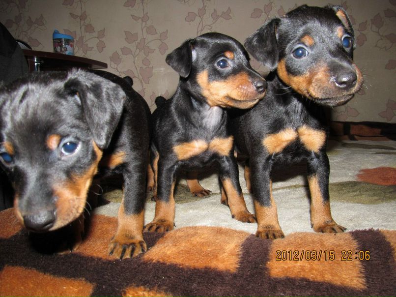 Юля Колосовская | Минск