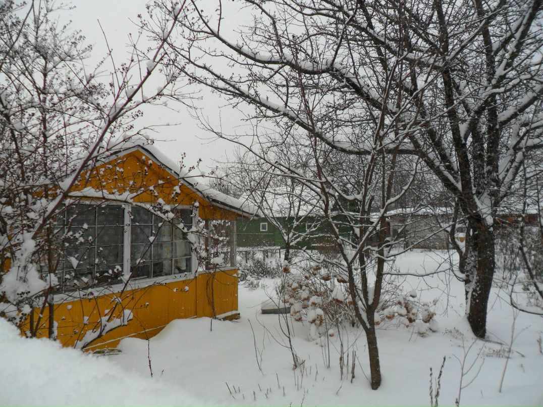 Елена Батусова (Зуева) | Санкт-Петербург