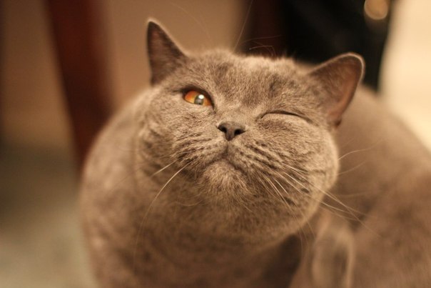 №75, Галина Аверкина, 24 года, Минск №75, Галина Аверкина, 24 года, Минск