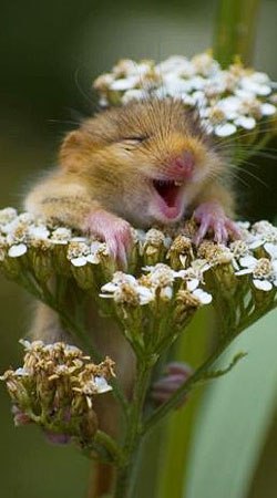 Дария Синицына | Нижний Новгород