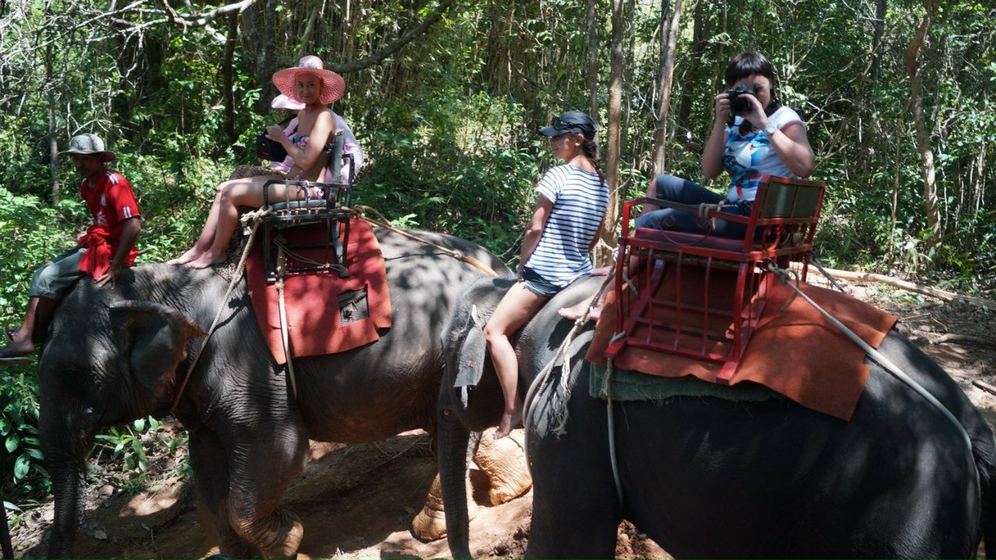 Яна Сахарова | Тюмень