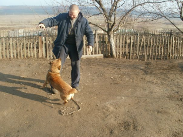 №24, Михаил Татаров, 39 лет, Раздельная №24, Михаил Татаров, 39 лет, Раздельная