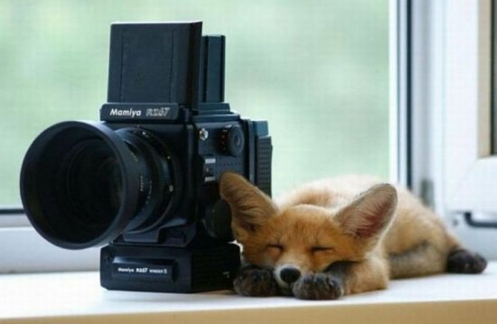 Марат Мардеев | Москва