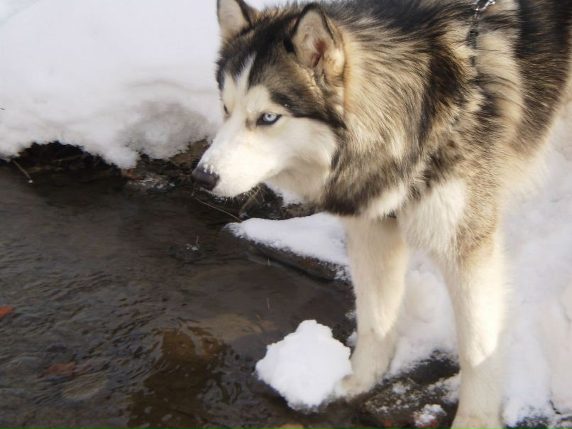 Татьяна Нугаева | Москва