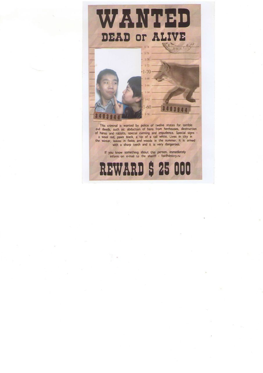 Vitalik Kim | New York City