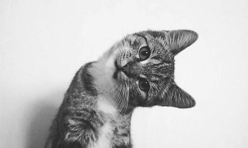 Татьяна Павлюченкова | Москва