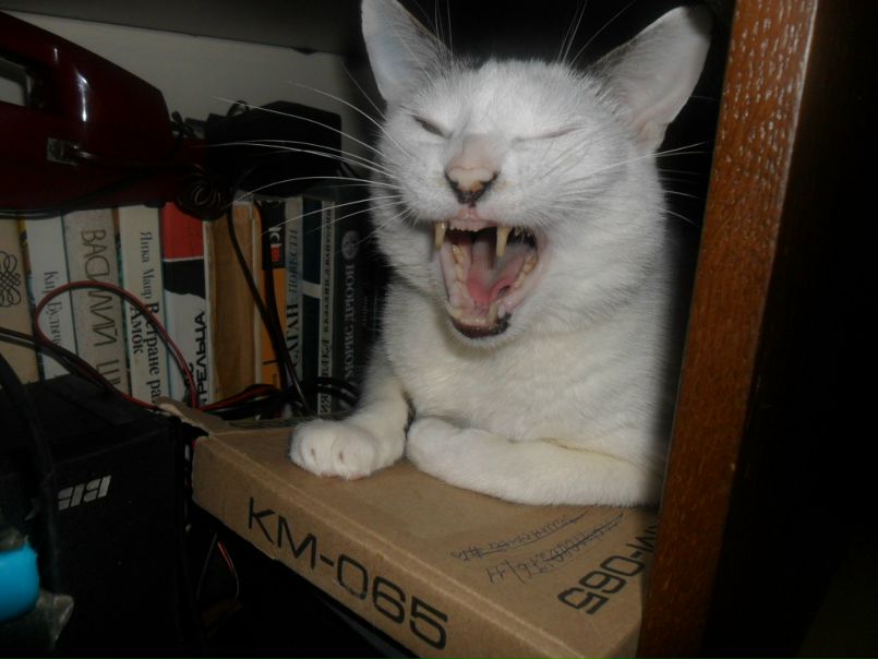 №2, Оля Уколова №2, Оля Уколова