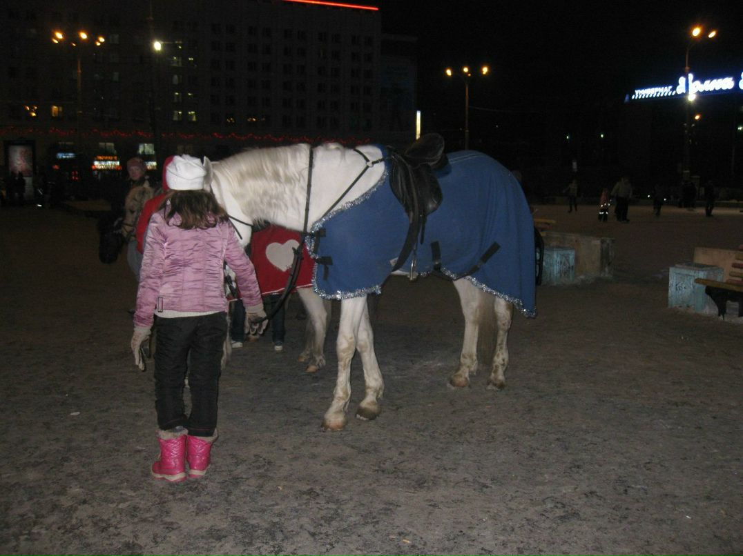 Елена Вохмянина | Мурманск