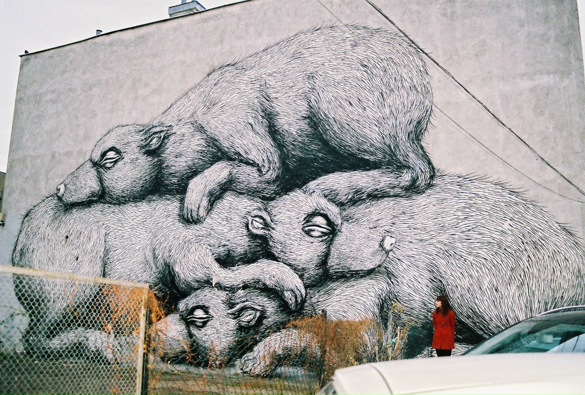 Ах Настя | Ивано-Франковск