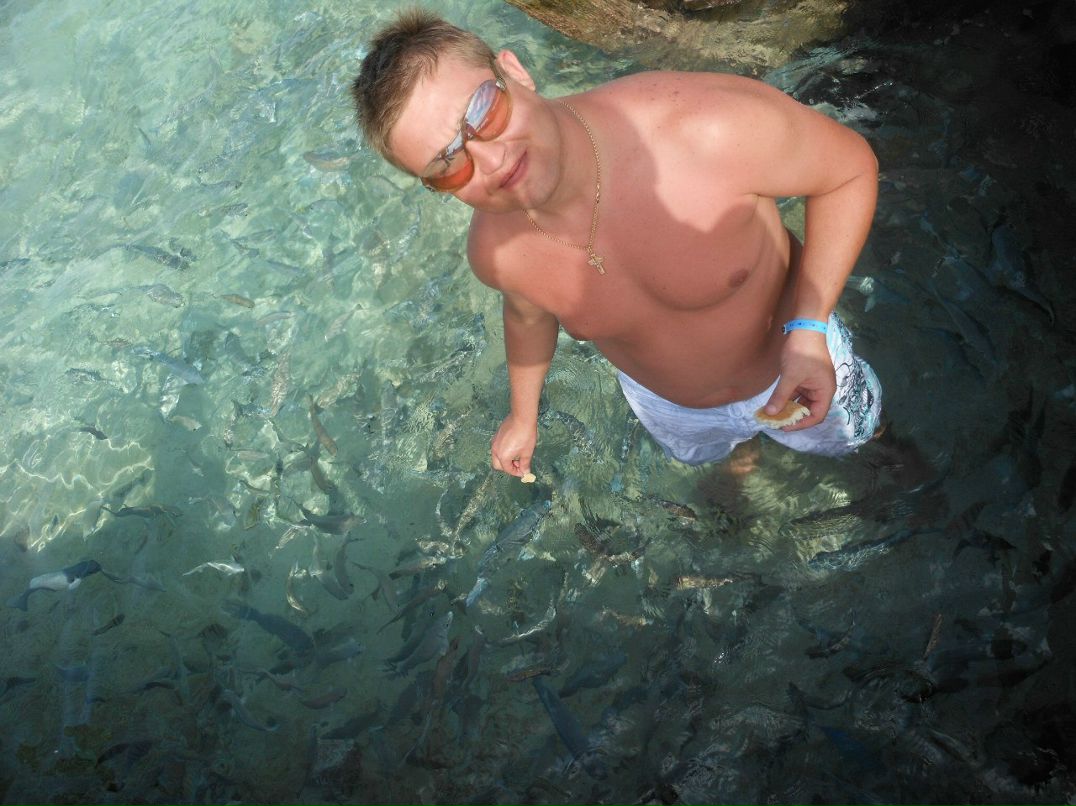 Тарас Пігура | Chicago