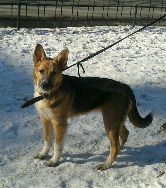 Юлия Лято | Санкт-Петербург