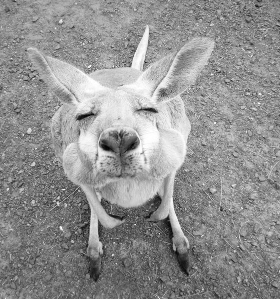 Анастасия Анисимова | 