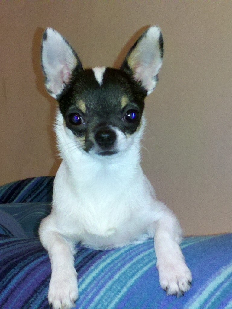 Світлана Нікіфорова | Киев