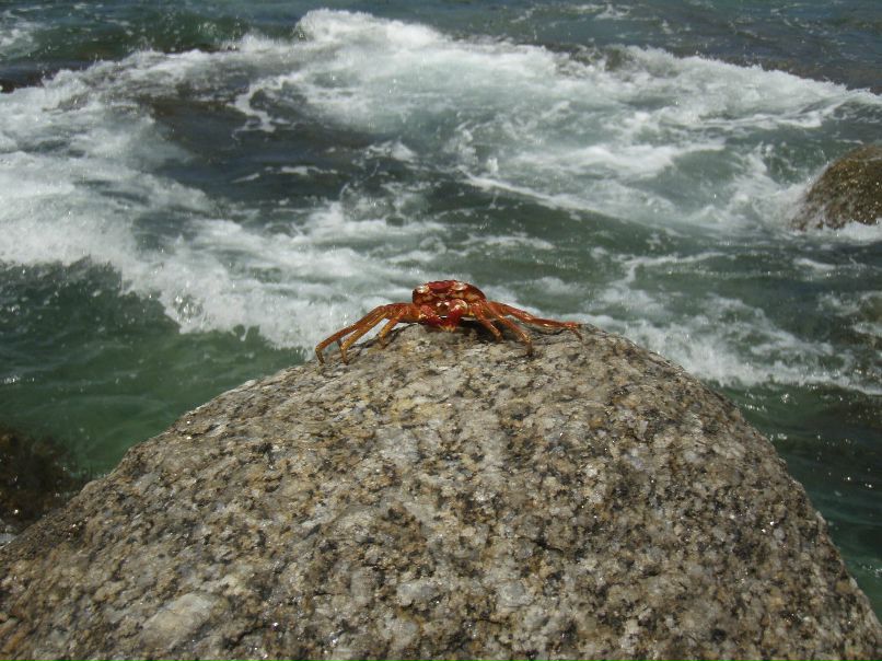 Наталья Цыганова | Звенигород