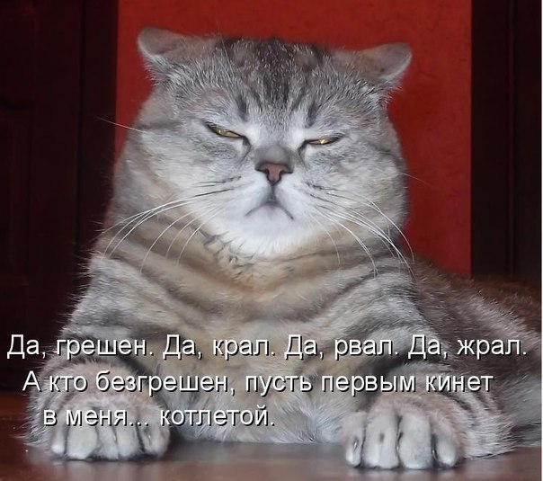 Станислав Орлов | Мурманск