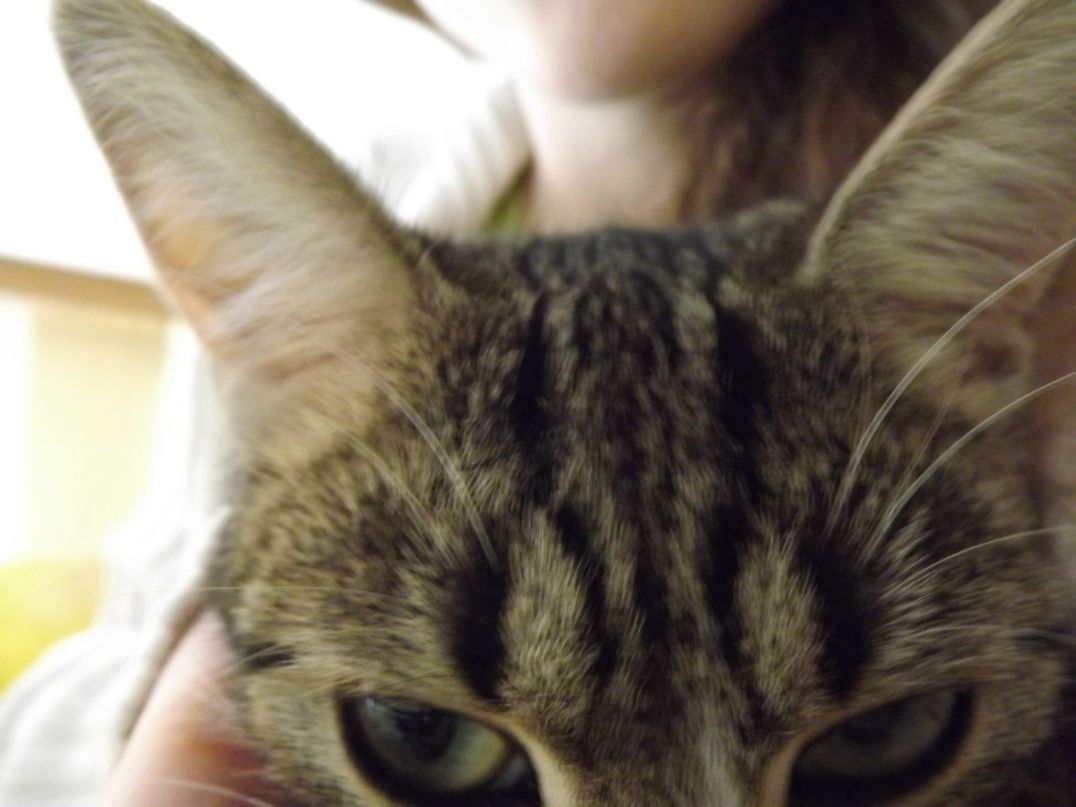 Лиза Антонова | Москва