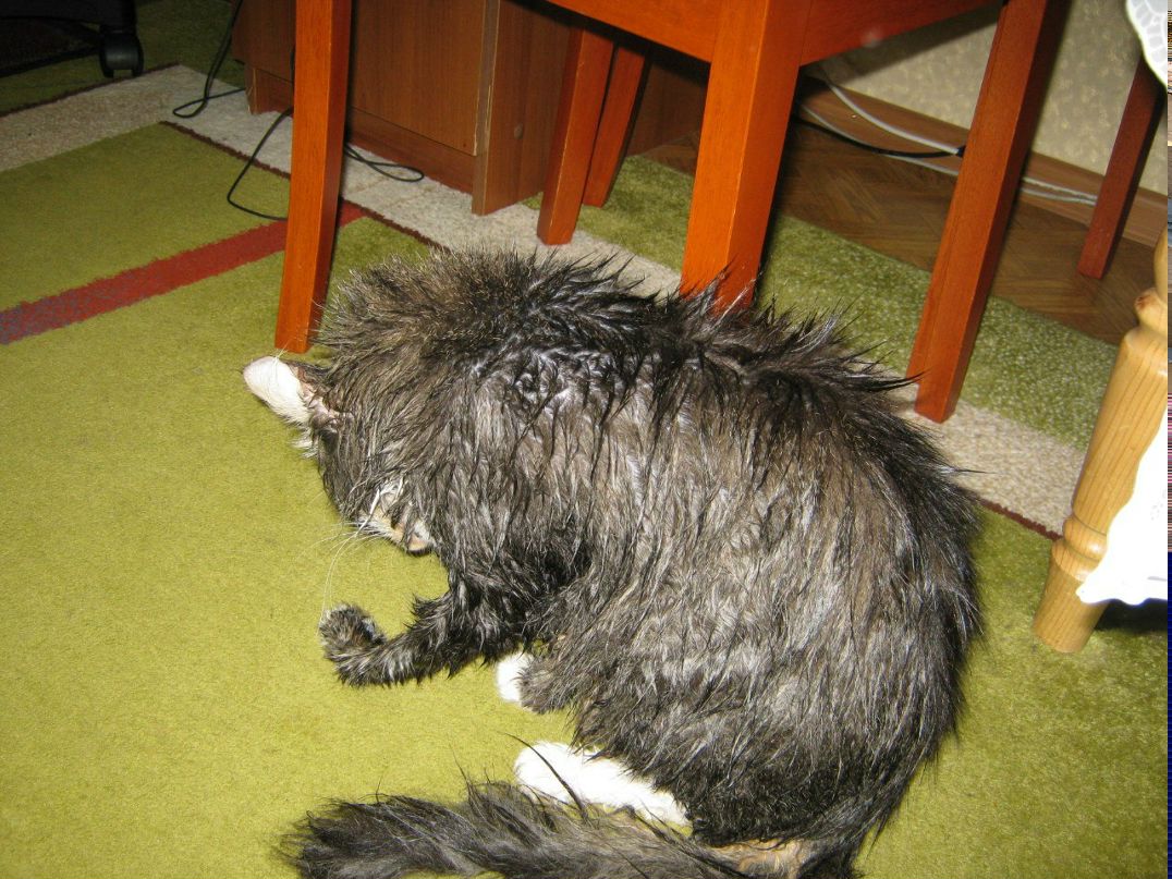 Николай Синицын | Москва