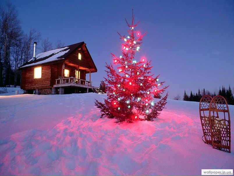 №10, Елена Петрович, Донецк №10, Елена Петрович, Донецк