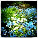 №31 Юрий Новожилов 06.08: профиль, фото, статус - ВКонтакте