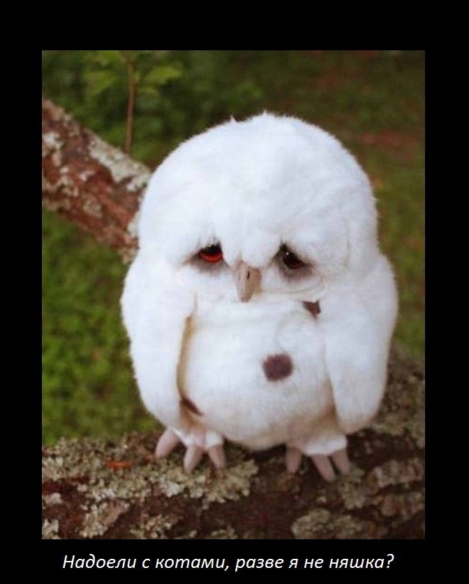 Евгения Кухаренко | Санкт-Петербург