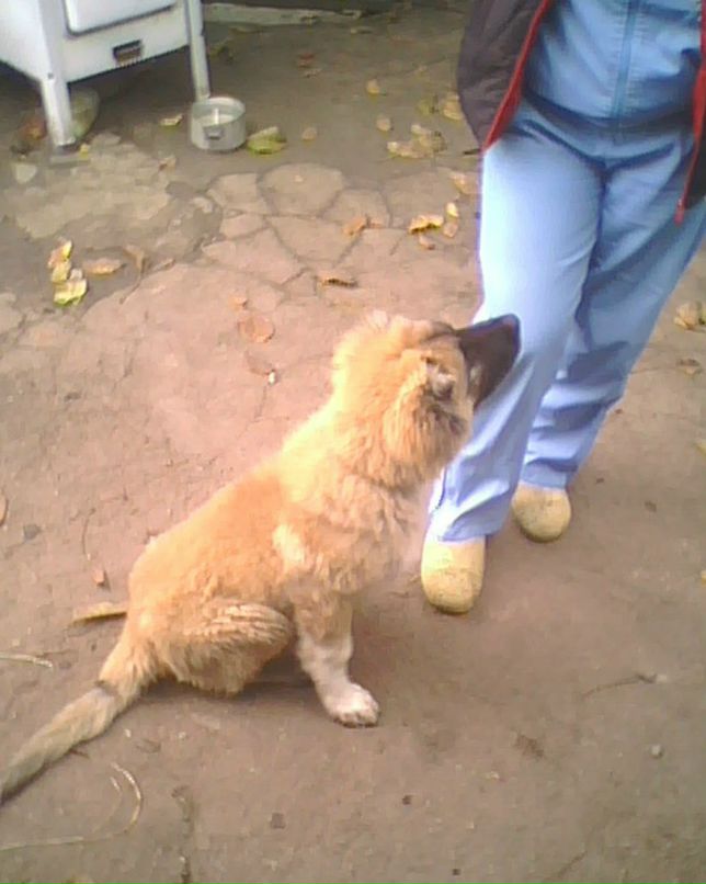 Brain Oconer | Днепр (Днепропетровск)