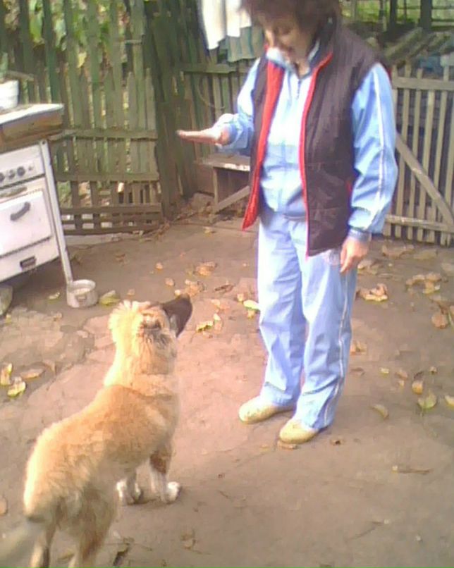 Brain Oconer | Днепр (Днепропетровск)