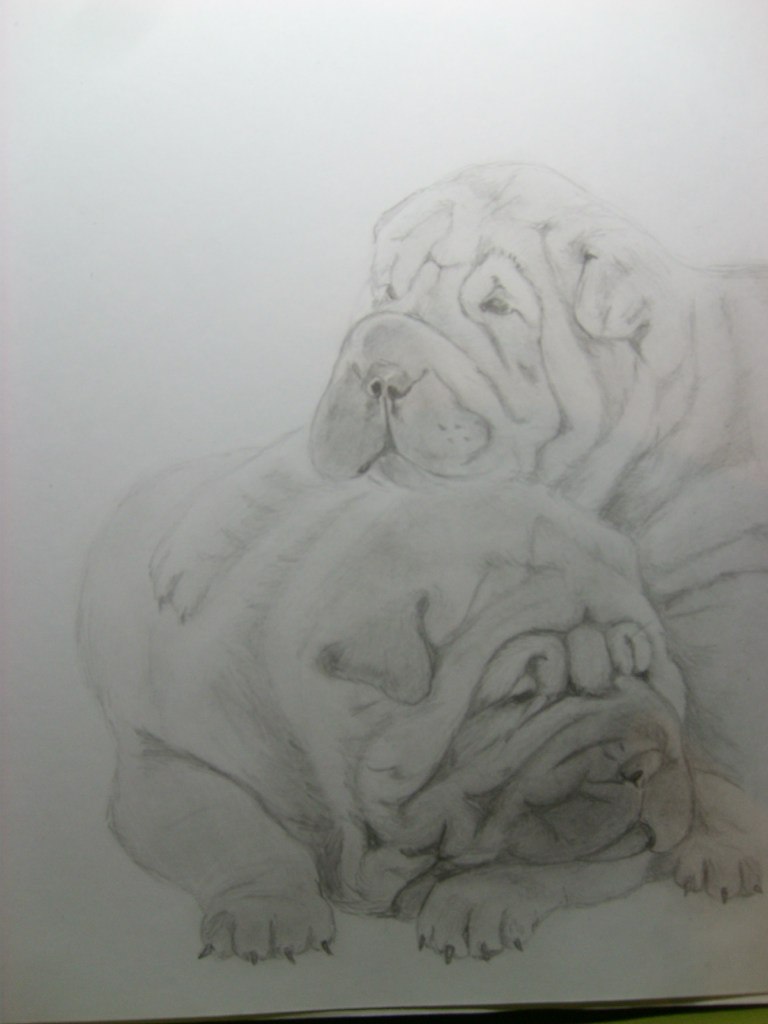 Армина Андросова | Королёв