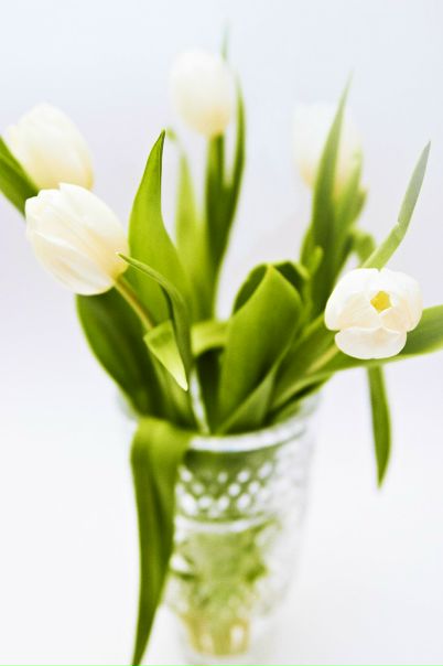 №29, Оксана Зимина, 40 лет, Санкт-Петербург №29, Оксана Зимина, 40 лет, Санкт-Петербург