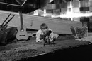 Фотография Муратова Азамата
