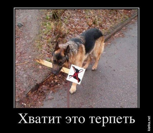 Сана Адрианова | Казань