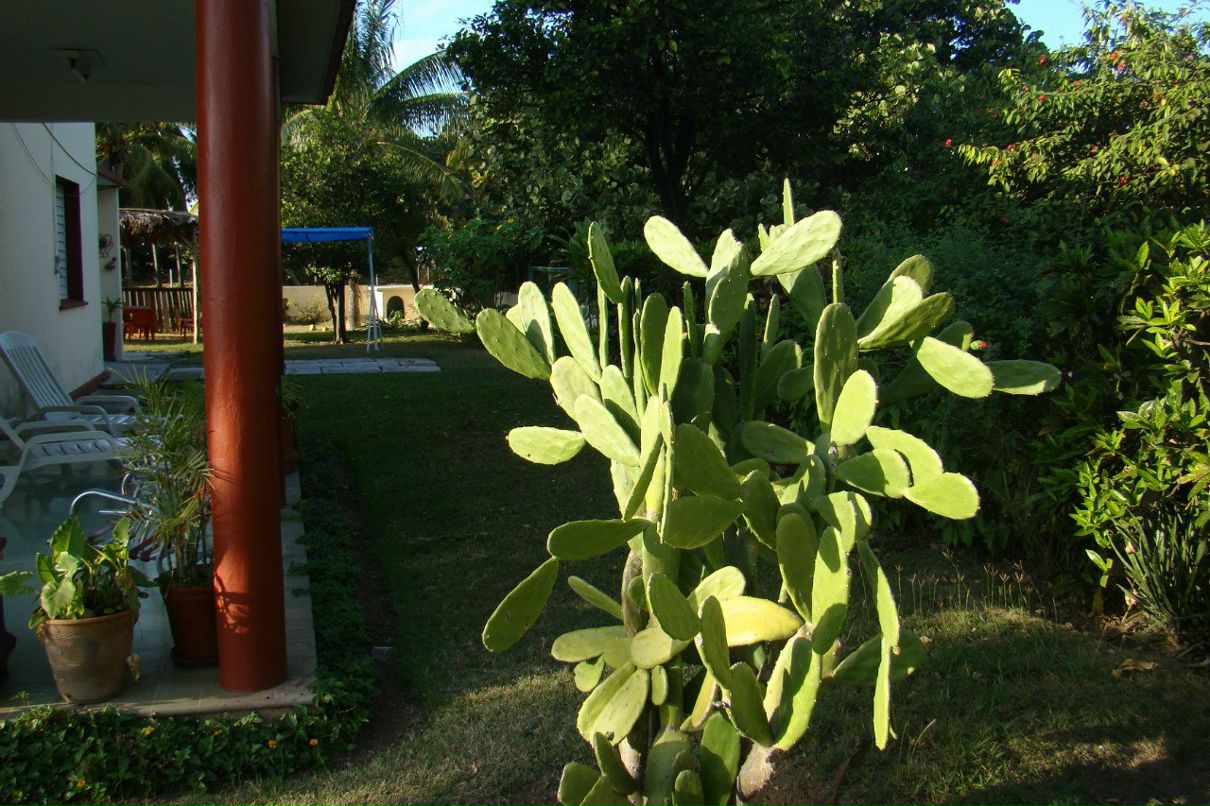 Анна Пашкова | Екатеринбург