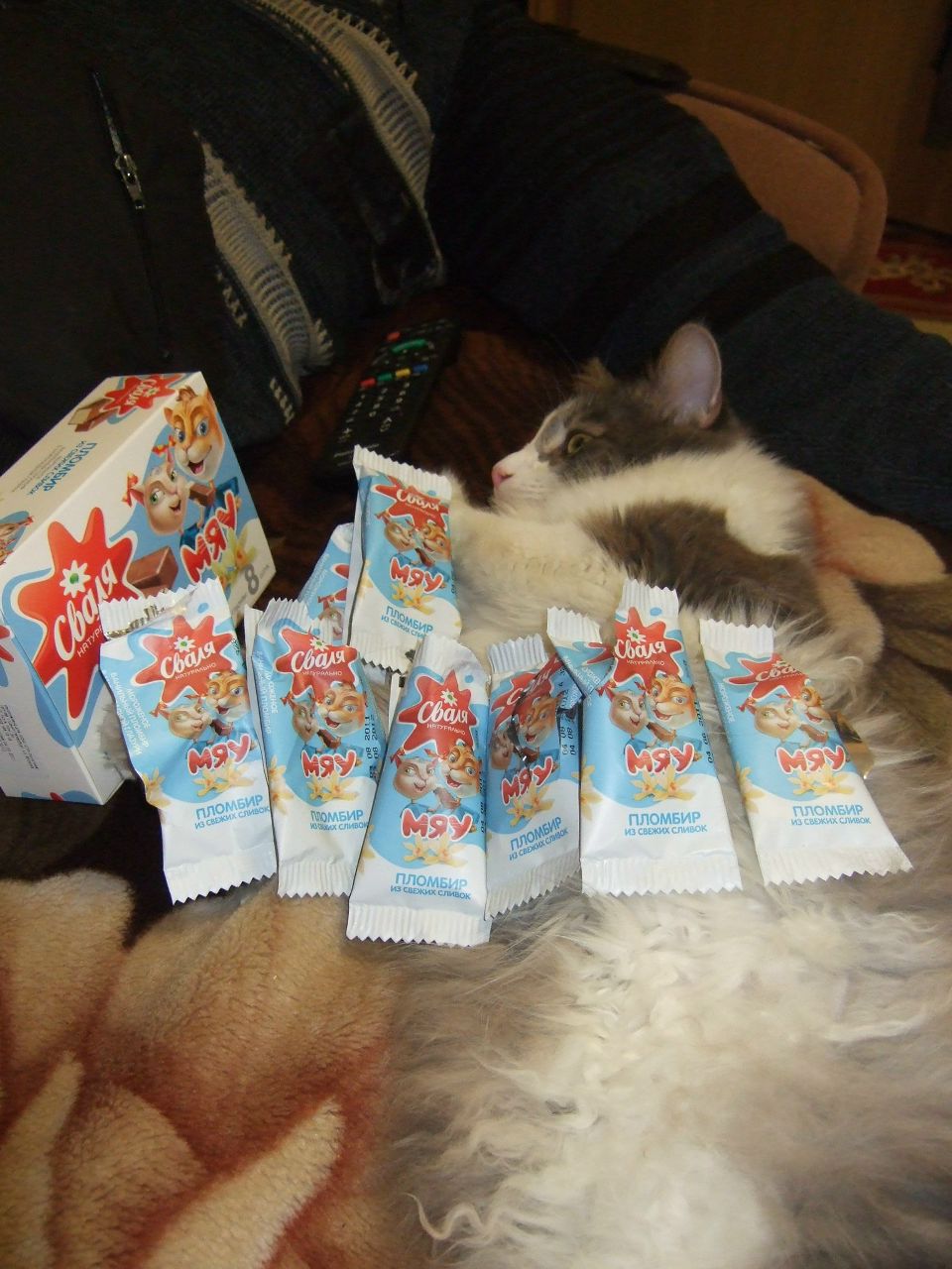 Антон Ерохов | Санкт-Петербург