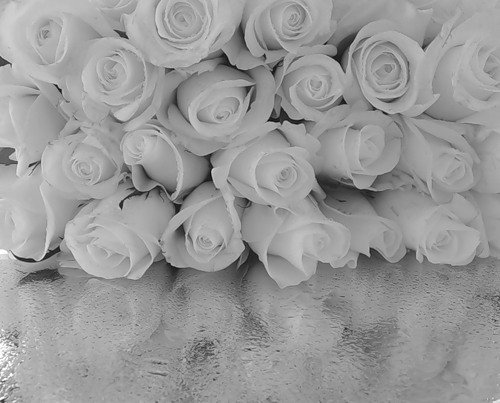 №47, Ольга Круть-Кишман, 31 год, Днепр (Днепропетровск) №47, Ольга Круть-Кишман, 31 год, Днепр (Днепропетровск)