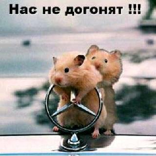 Сергей Прохоренко фото со стены #5