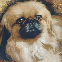 Ирина Рачкова | 