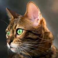 Наталия Кондратьева | Самара