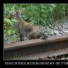 Аватар: Мася Омельченко