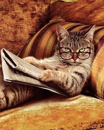 Ольга Кротова | 