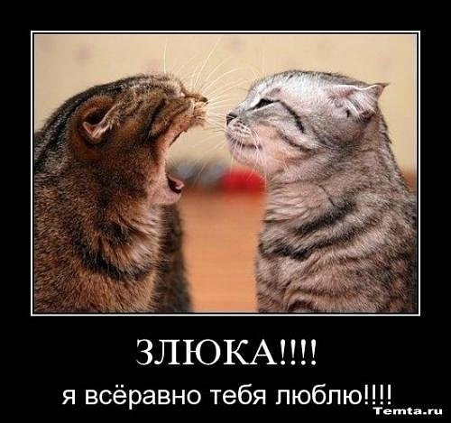 Вадим Сварной | Житомир