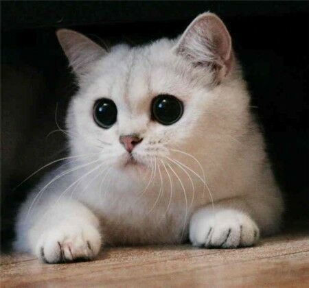 Сергей Хурматулин | Екатеринбург