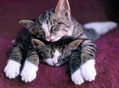 Сергей Хурматулин | Екатеринбург