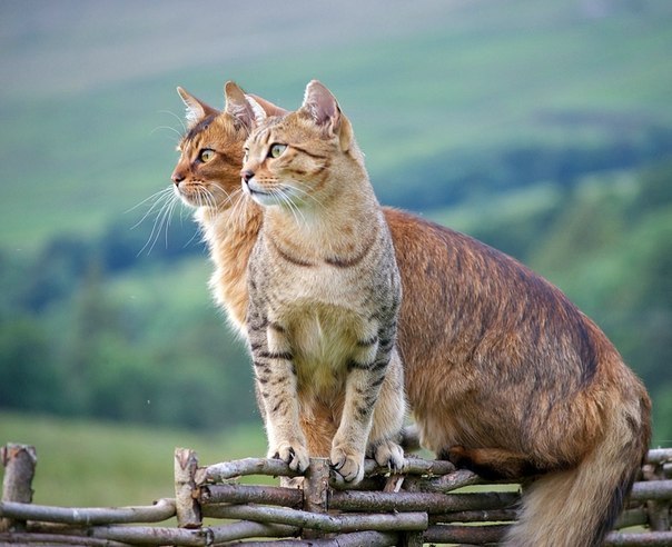 Damir Yanberdin | Уфа