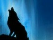 Миша Еремин | Москва